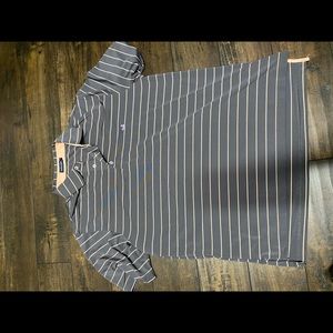 Southern Marsh Polo